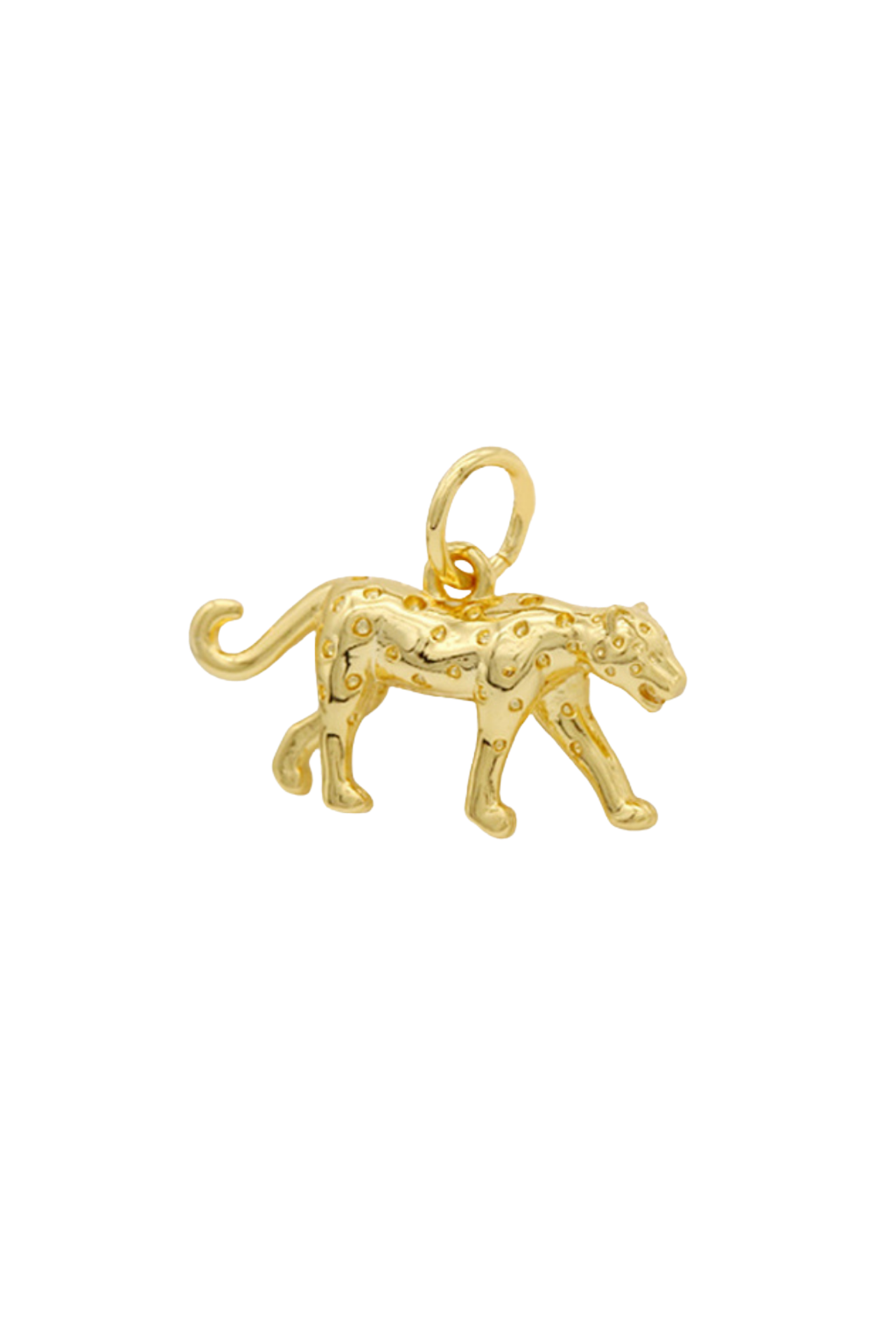 Desert Leopard Charm